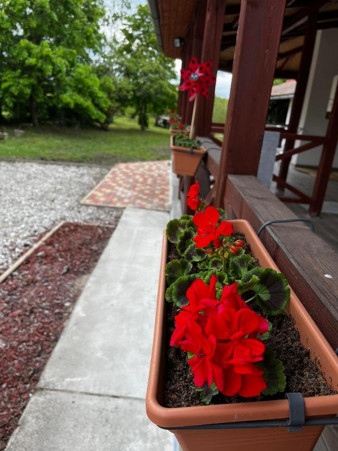 Poettyoesotthon Vendeghaz Apartman Tiszabábolna Kültér fotó